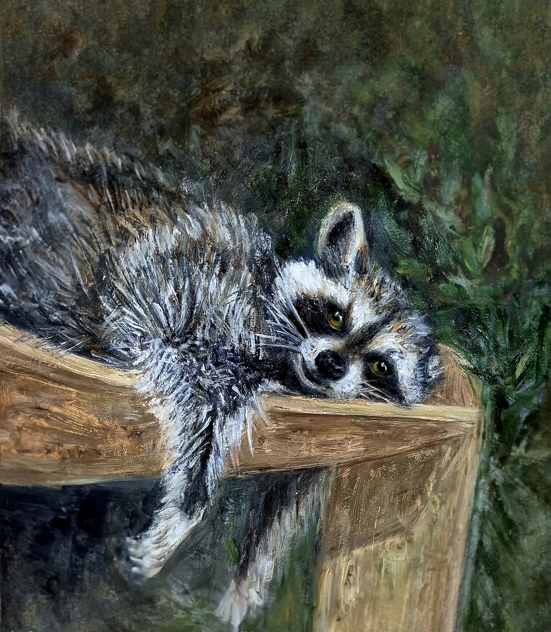 "Ленивый енот"