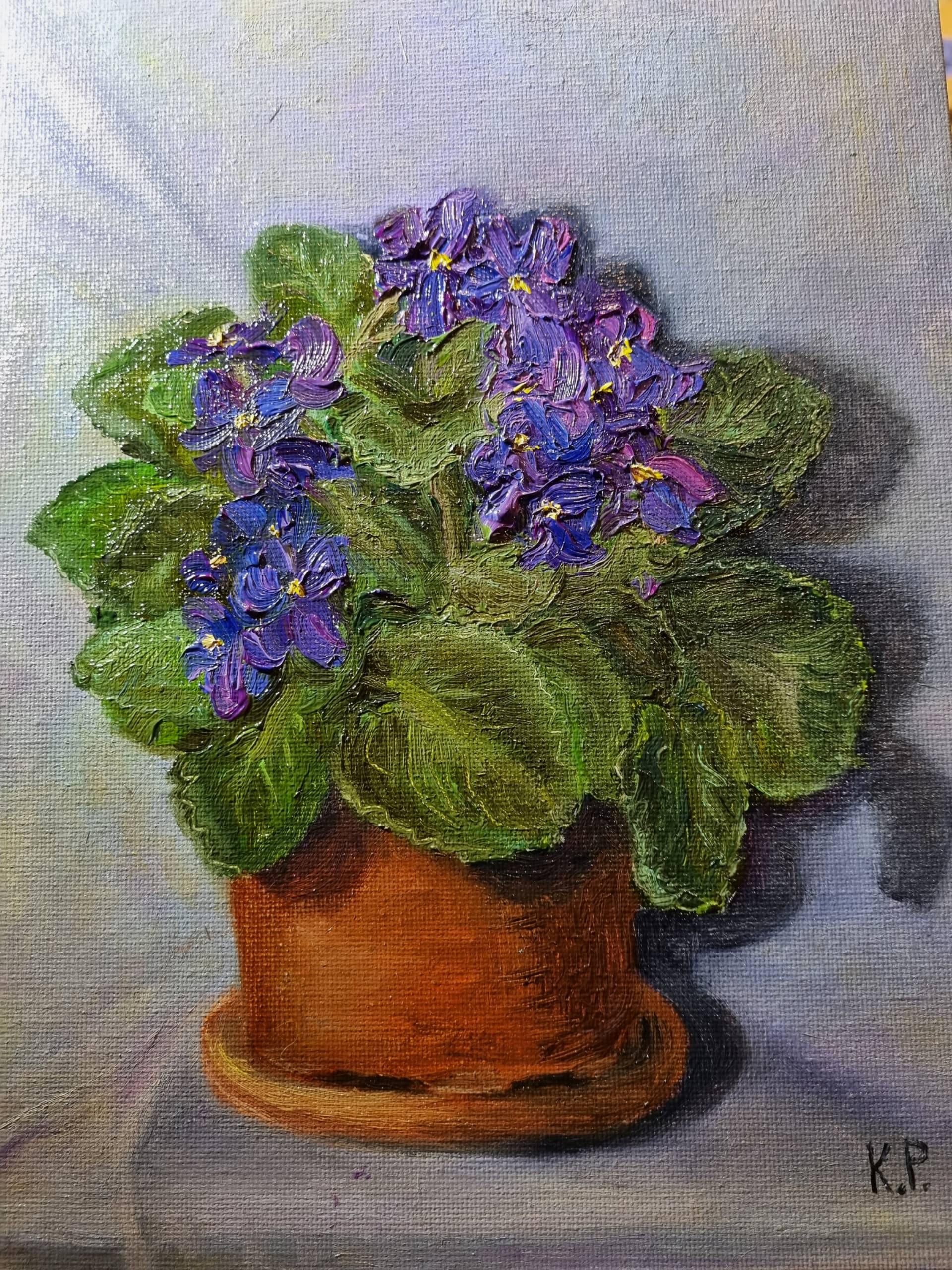 "Фиалки в феврале"